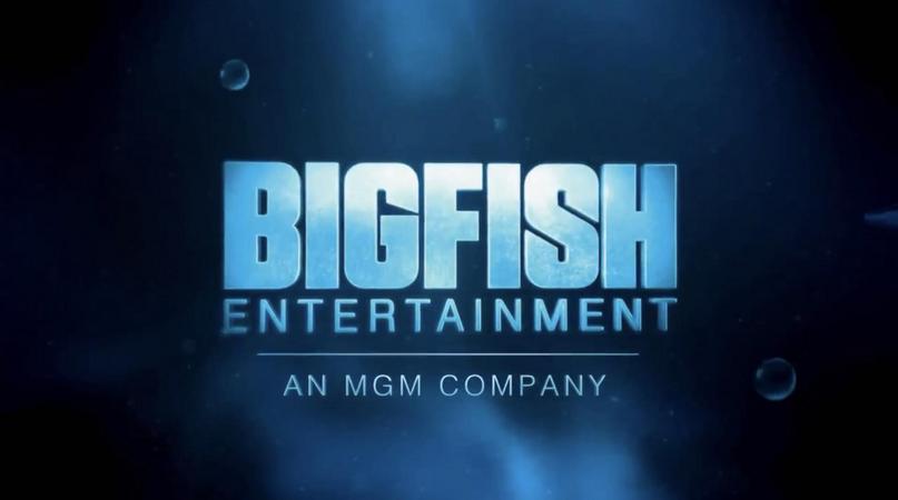 Big Fish Entertainment - Audiovisual Identity Database