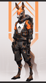 Ikarosi Sprinter